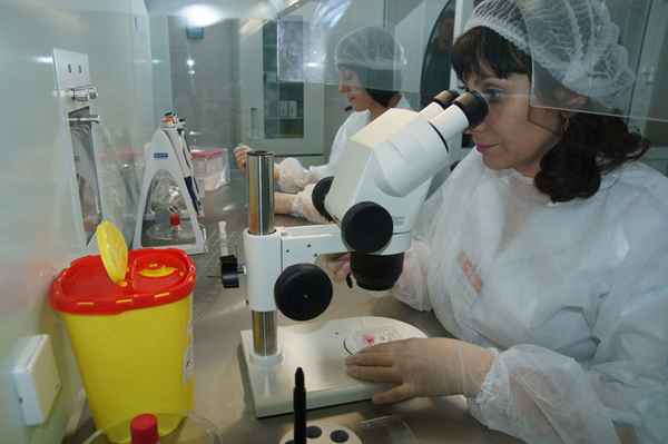 Пункция фолликулов при ЭКО 