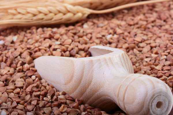 Калорийность гречки 