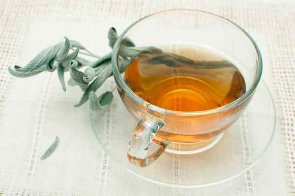 Шалфей для прекращения лактации 