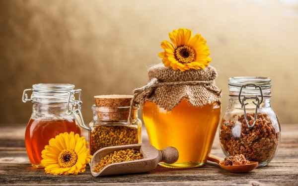 Обзор 16 популярных видов мёда: что лечат, кому рекомендуются 