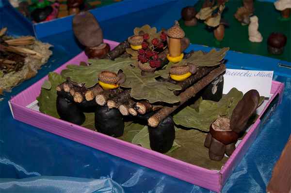 Поделки своими руками для детей (пластилин, шишки, желуди) 