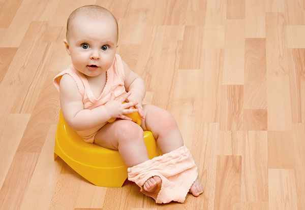 Приучение ребёнка к горшку порядок вещей 