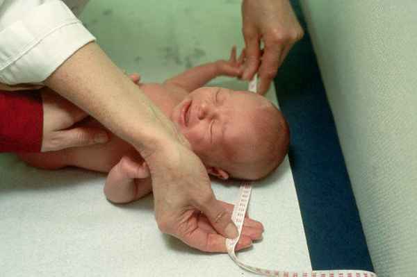 Окружность головы плода по неделям (таблица) 