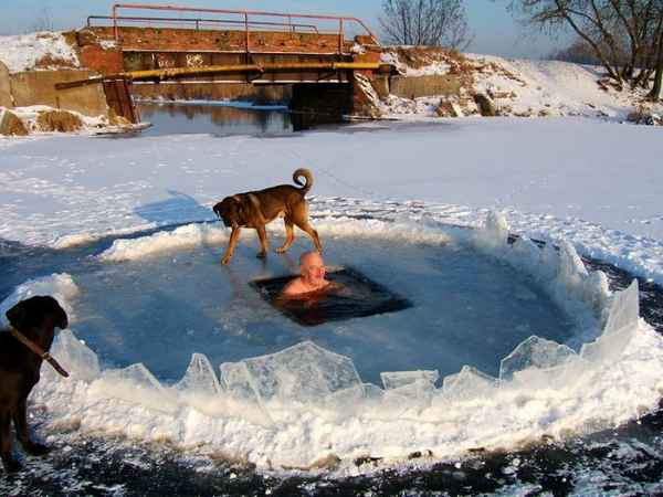 Польза и вред моржевания 