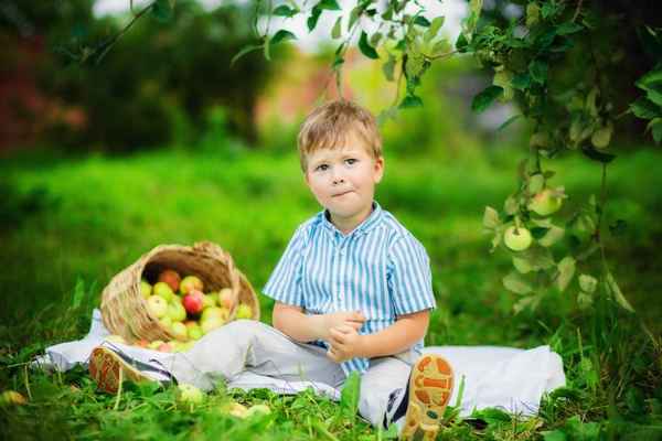 Лето на даче: отдыхаем с детьми на отлично! Какие вещи, медикаме 