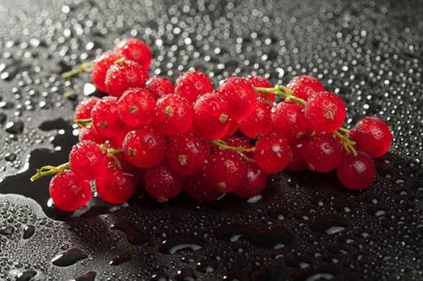 Как заморозить красную смородину на зиму (правильная заморозка) 