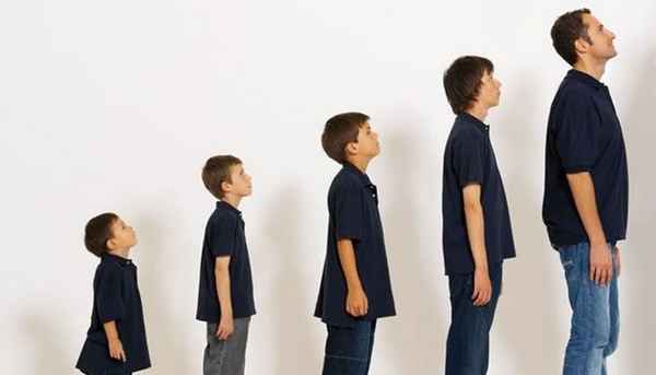 Акселерация и её роль в формировании личности 