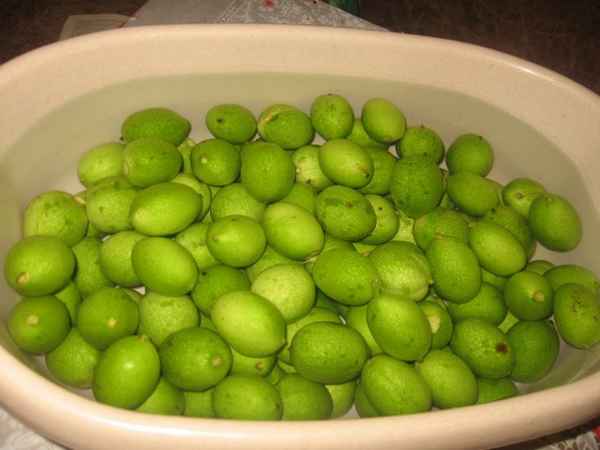 Варенье из грецких зеленых орехов, рецепт простого орехового варенья 