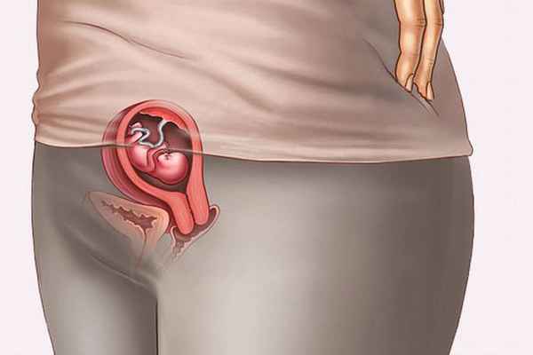 9 недель беременности: что происходит, ощущения 