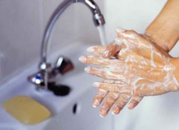 Откуда в организме появляются лямблии, чем опасны и как лечить 