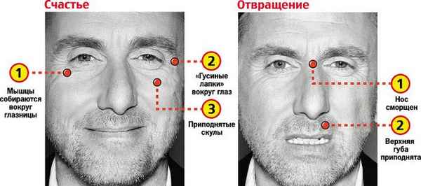 Признаки лжи четыре признака лжи и обмана 