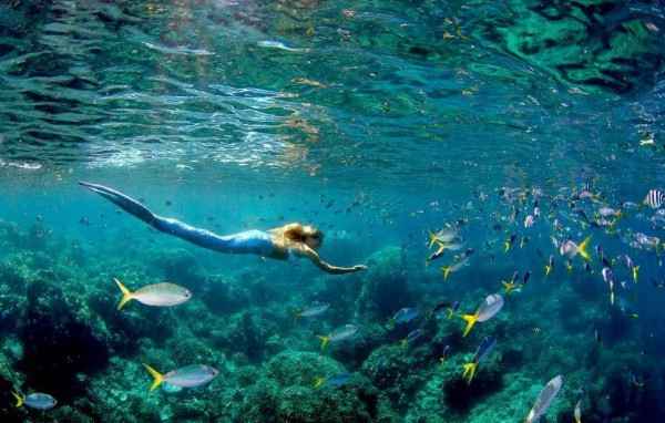 Косметика на основе водорослей Гуам 