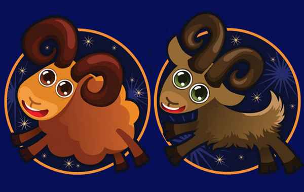 Козерог и овен: совместимость 