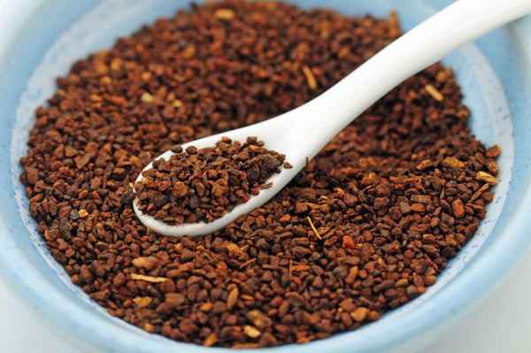 Польза и вред цикория растворимого 