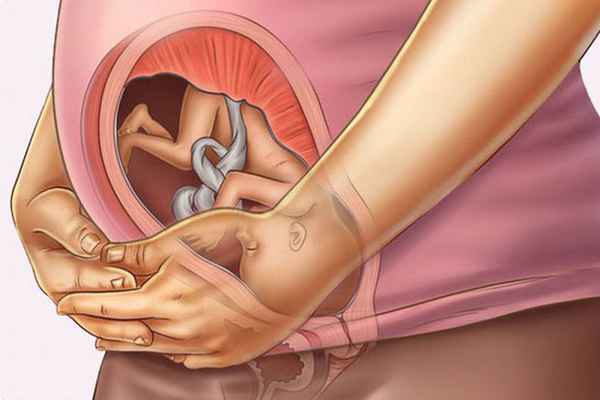 27 неделя беременности: положение и развитие плода, шевеления 