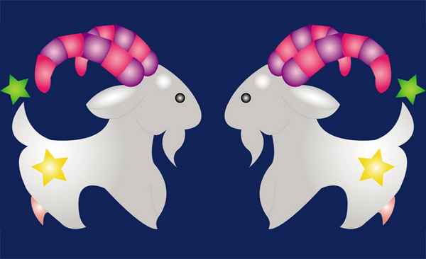 Совместимость женщина Козерог, мужчина Козерог 