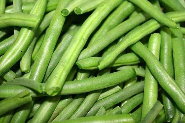 Калорийность фасоли: стручковой, вареной, красной, консервированной? 