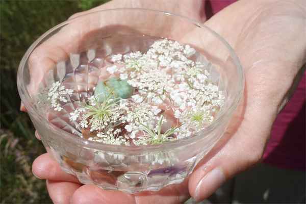 Прерывание беременности народными средствами 