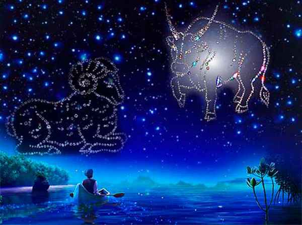 Совместимость: Овен и Телец 