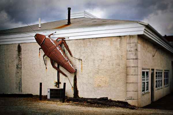 Уничтожение таpaканов в квартире 