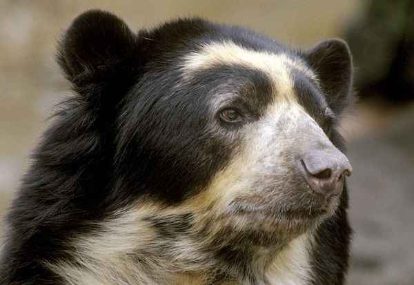 Почему появляются тёмные круги под глазами и как с ними бороться? 