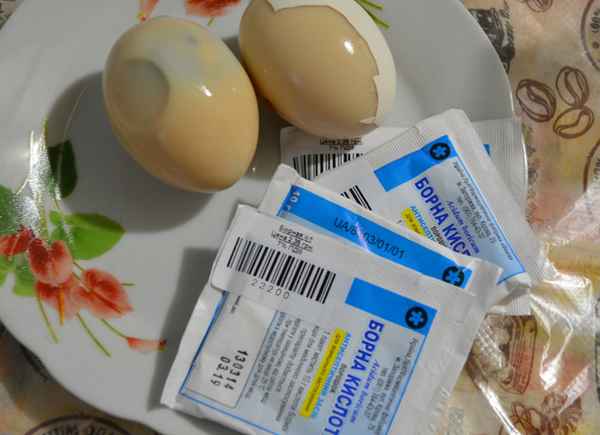 Борная кислота от таpaканов: рецепт 