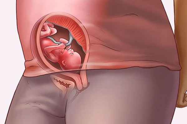 19 неделя беременности: развитие плода, ощущения, шевеления 