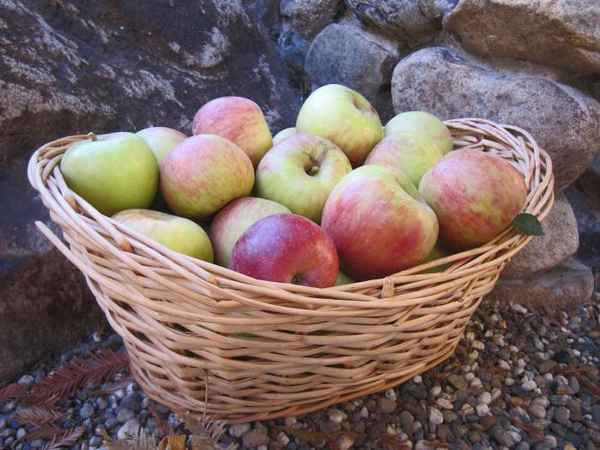 Яблоки в сиропе на зиму 