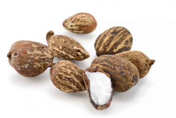 Масло Ши, применение при лечение кожных заболеваний 