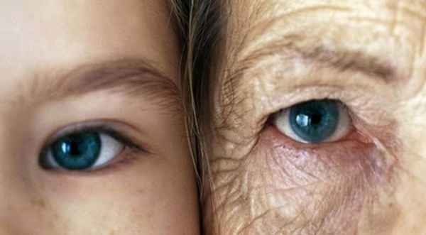 В поисках лекарства от старости 