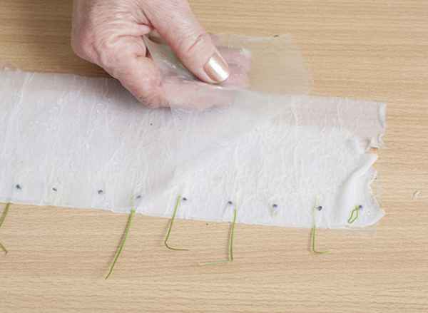 Московский метод выращивания рассады 