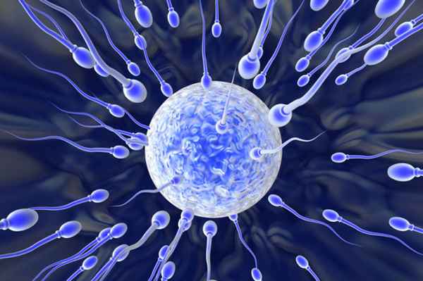 Чем вреден прерванный пoлoвoй акт? Вероятность забеременеть при прерванном пoлoвoм акте 