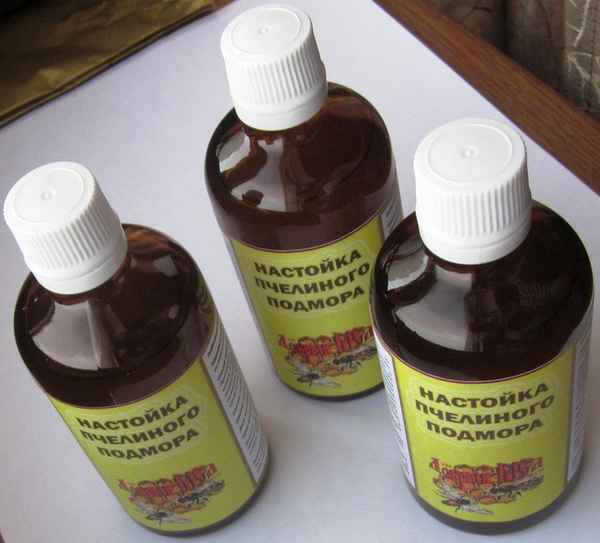 Спиртовая настойка подмора из пчел: применение, как принимать 