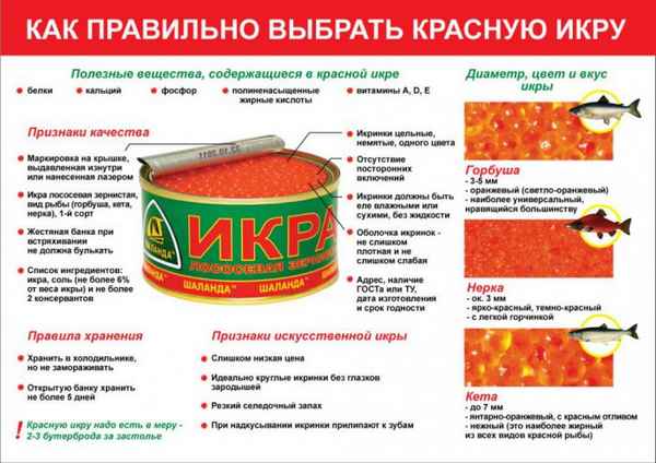 Как выбрать красную икру: икра для новогоднего стола, советы 