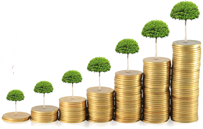 Как приумножить деньги: способы, методы, советы 