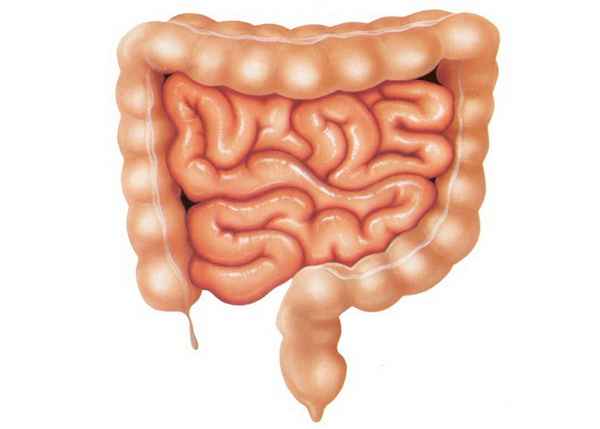 Вирусологические исследования 