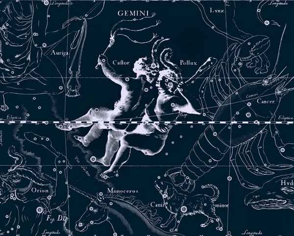 Гороскоп на год — Близнецы мужчина 