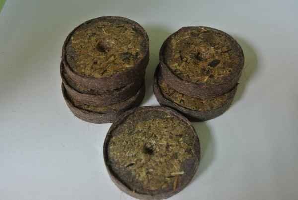 Торфяные таблетки для рассады: инструкция, отзывы, рассада 