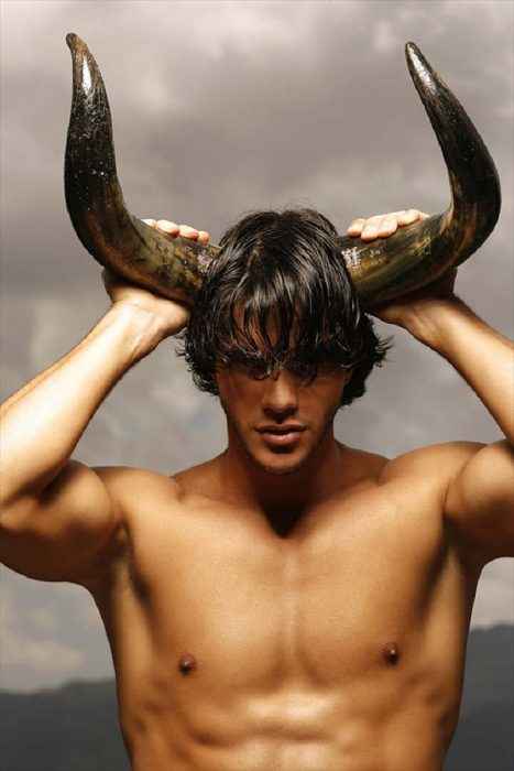 Гороскоп Телец мужчина на год знаки зодиака 