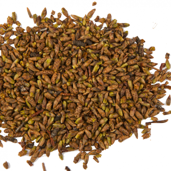 Березовые почки лечение заболеваний отвары 