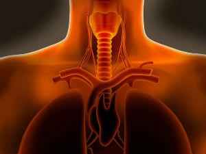 Аллергический трахеит у детей и взрослых, его лечение