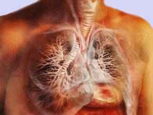 Хронический трахеит, его симптомы и лечение у взрослых