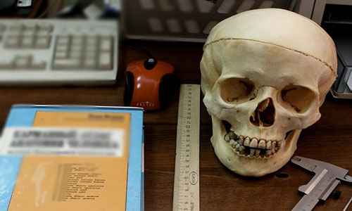 Сонник Анатомия, к чему снится Анатомия во сне видеть