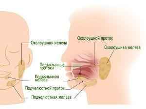 Синдром Шегрена: симптомы и лечение народными средствами, причины