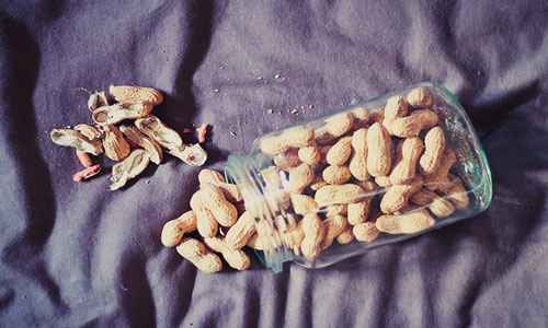 Сонник Арахис, к чему снится Арахис во сне видеть