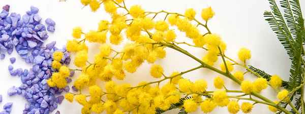 Гороскоп на март