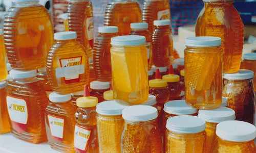 Сонник Банка, к чему снится Банка во сне видеть