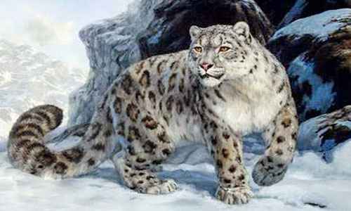 Сонник Барс, к чему снится Барс во сне видеть