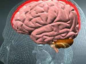 Симптомы менингита: первые признаки у взрослых и подростков, диагностика