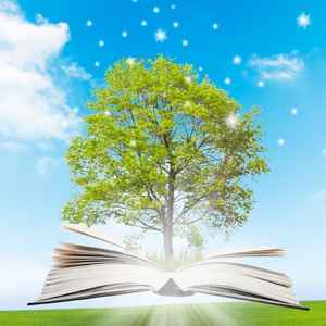 5 лет какая свадьба, годовщина свадьбы 5 лет как называется